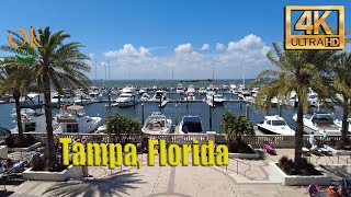 4K Westshore Tampa Florida  Walking Tour  March 2023 [upl. by Ahsiena]