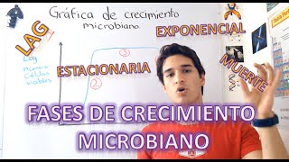 Gráfica y fases de crecimiento microbiano EN 4 MINUTOS [upl. by Eatnoed]