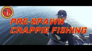 PreSpawn Crappie Fishing Alamo Lake Arizona [upl. by Tellford338]