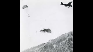 Parachuting Beavers Created a FireResistant Wetland [upl. by Walters]