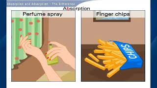 Understand Absorption and Adsorption Chemistry  Class 9 [upl. by Yaras290]