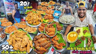 மீன் உலகின் சொர்கம் 50 Fish Varieties  Kongunadu Meen Varuval  Tamil Food Review [upl. by Dennard]