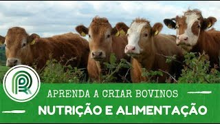 Aprenda a criar bovinos  Aula 5 nutrição e alimentação [upl. by Rodge944]