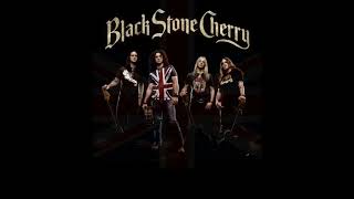 Black Stone Cherry  White trash millionaire  Subtitulada Español [upl. by Ermin]