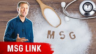 Chronic Pain and Monosodium Glutamate MSG [upl. by Hirsch199]