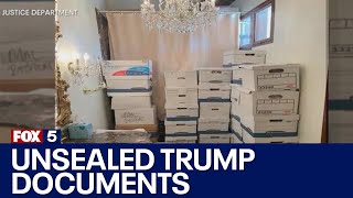 Trump indictment unsealed in documents case [upl. by Erena]