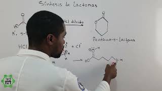 Formación de Lactonas  Éteres Cíclicos  Esterificación [upl. by Woodcock883]