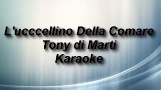 Lucccellino Della Comare Tony di Marti Karaoke by Enry [upl. by Whallon]