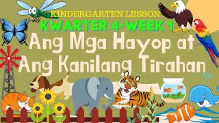 Week 1 Quarter 4 Ang mga HAYOP at Ang kANILANG TIRAHAN [upl. by Nuhsed]