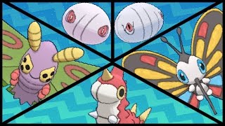 FULL WURMPLE EVOLUTION TEAM Wurmple Silcoon Cascoon Dustox Beautifly [upl. by Atteragram93]