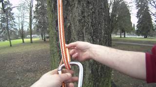 How to tie the Anchor hitch  Arborist knot tying [upl. by Nawek121]