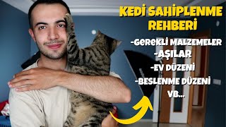 Yeni Kedi Sahipleneceklere Tavsiyeler EN KAPSAMLI KEDÄ° SAHÄ°PLENME REHBERÄ° [upl. by Qooraf]