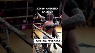 KO del ANTONIO CAMPOY k1 kingboxing [upl. by Eirhtug34]