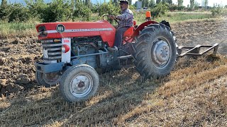 1967 MODEL MASSEY FERGUSON 165 [upl. by Lindblad]