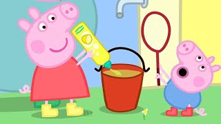 Peppa Pig English Episodes  Peppa and George Play With Bubbles  Peppa Pig Official [upl. by Guinevere]