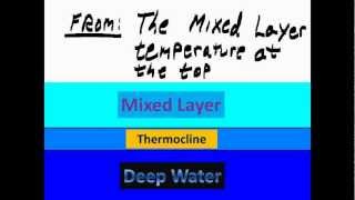 Thermocline [upl. by Ynnaf]