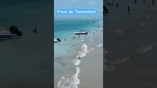 Tamandaré pernambuco 🇧🇷 [upl. by Glory]