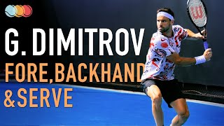 Grigor Dimitrov  Forehand Backhand Serve in Slow Motion 2021 [upl. by Guarino]