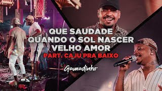 Gamadinho feat Caju Pra Baixo  Que Saudade  Quando o Sol Nascer  Velho Amor [upl. by Carpenter]