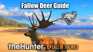 Fallow Deer Guide  Emerald Coast Australia  theHunter Call Of The Wild [upl. by Jerrilee]