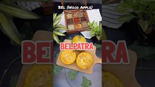 Bel Ka Sharbat  Benefits of bel fruit juice belpatra [upl. by Tniassuot]