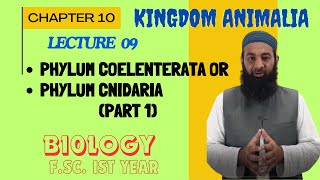 Phylum CoelenterataCnidaria I Chapter 10 I FSc I First Year I biology I Lec 09 [upl. by Hanschen]