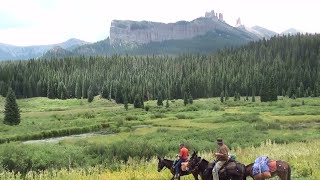 Gaited Mules  2021 Colorado Trail Ride [upl. by Anavlis]