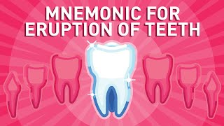 Eruption of Teeth  Mnemonic [upl. by Maitland]