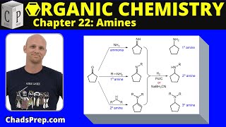 224e Synthesis of Amines Reductive Amination [upl. by Kcirrem415]