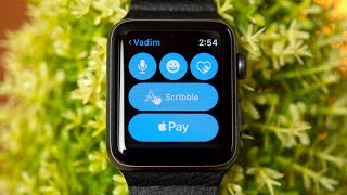 How to Verify Identity in Apple Pay Cash [upl. by Aryamoy701]