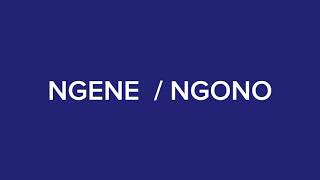 instrumental NGENE  NGONO [upl. by Orth]