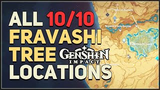 All 10 Fravashi Tree Locations Genshin Impact [upl. by Onitrof]