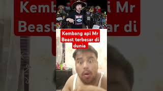 Kembang api terbesar di dunia 600000 Dollar youtubeshorts mrbeastbahasaindonesia shorts [upl. by Harberd]