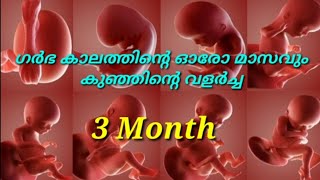 3 Month pregnancy baby development malayalam [upl. by Yatzeck]