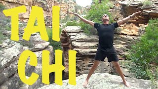 14 Minute Daily Tai Chi Routine  For Beginners [upl. by Osei612]