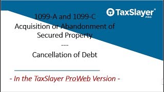 How to File 1099A and 1099C in TaxSlayer Pro Web [upl. by Akinit185]