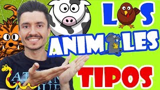 TIPOS de ANIMALES para niños [upl. by Hawken]