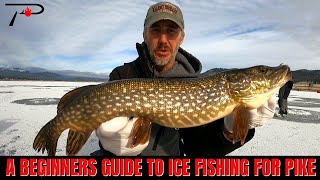 A Beginners Guide To Ice Fishing For Pike [upl. by Emad]