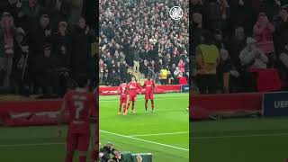 🇨🇴 Liverpool players celebrate Luis Diazs goal vs Leverkusen [upl. by Ainel31]