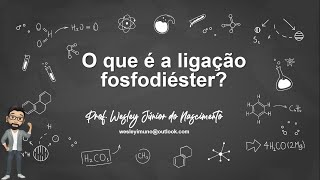 O que é a ligação fosfodiéster [upl. by Llevert]