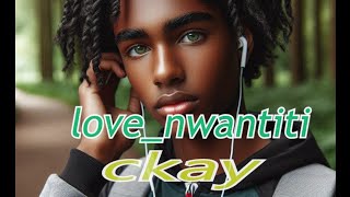 🎧ckay  love nwantiti music official lyrics ♥️ [upl. by Eph]