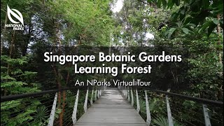 Singapore Botanic Gardens Learning Forest  An NParks Virtual Tour [upl. by Alleunam660]