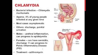 Chapter 27 SEXUALLY TRANSMITTED INFECTIONS [upl. by Ylus]