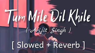 Tum Mile Dil Khile   Slowed  Reverb    Arijit Singh [upl. by Alilahk]