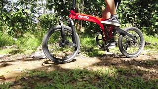 MOST VERSATILE FOLDABLE BIKE Birdy GT [upl. by Hgielar]