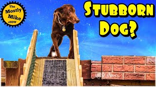 Dog Ramp DIY  Part 1 [upl. by Merna]