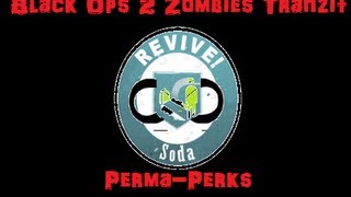 Getting PermaPerk Quick Revive on Tranzit Black Ops 2 Zombies Gameplay [upl. by Kenelm]