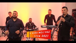 Festi Sheges  Vali Live Gezuar 2021 [upl. by Hook]