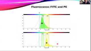 OpenFlow Fluorescence Compensation in Diva [upl. by Lark23]