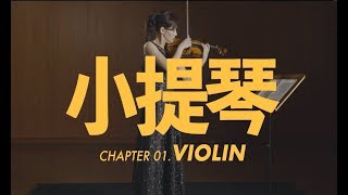 小提琴介紹 Violin [upl. by Yvonne524]